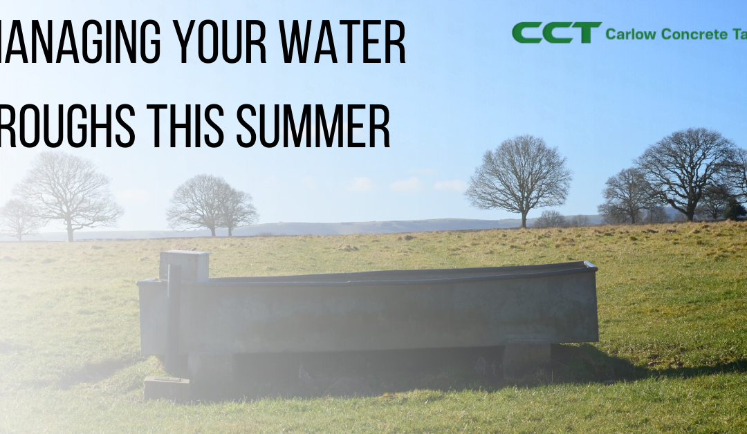 Managing Your Water Troughs This Summer